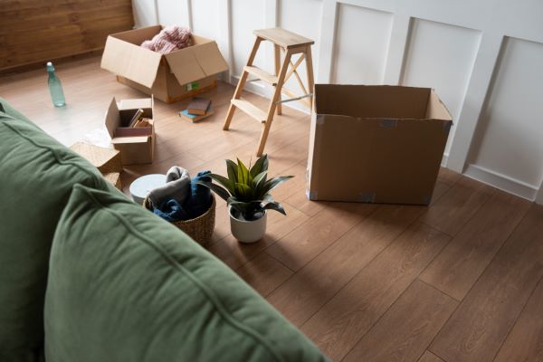 Move-In And Move-Out Tools